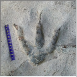 100_0462 (2009-26-07)m.JPG